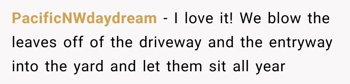 Grumpy Neighbor Sneaks Into Yard To Rake Leaves But Homeowner Strikes Back With Midnight Revenge Move PacificNWdaydream − I love it! We blow the leaves off of the driveway and the entryway into the yard and let them sit all year