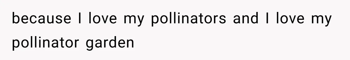 Grumpy Neighbor Sneaks Into Yard To Rake Leaves But Homeowner Strikes Back With Midnight Revenge Move because I love my pollinators and I love my pollinator garden