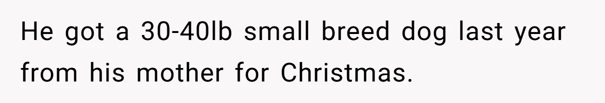 He got a 30-40lb small breed dog last year from his mother for Christmas.