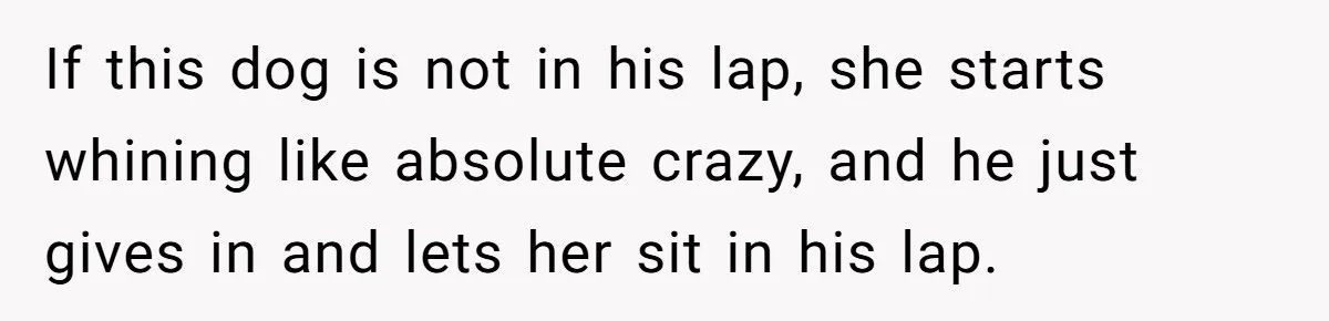 If this dog is not in his lap, she starts whining like absolute crazy, and he just gives in and lets her sit in his lap.