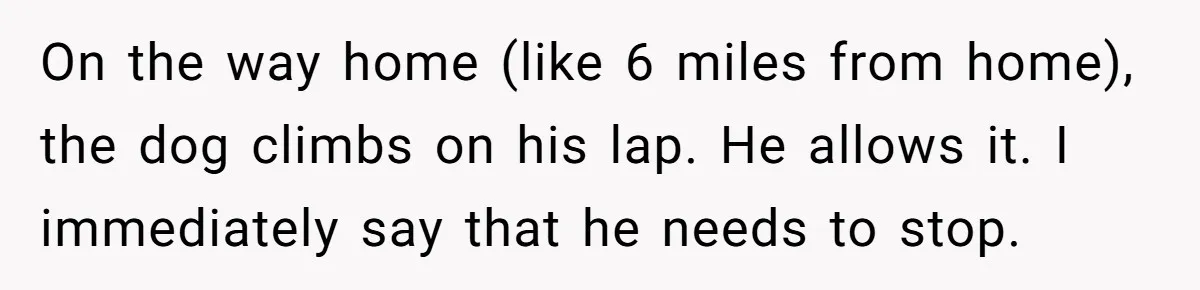 On the way home (like 6 miles from home), the dog climbs on his lap. He allows it. I immediately say that he needs to stop.