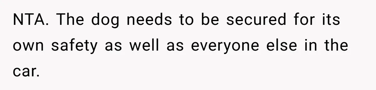 NTA. The dog needs to be secured for its own safety as well as everyone else in the car.