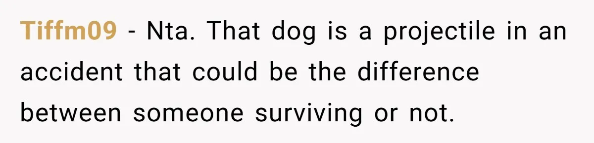 Tiffm09 − Nta. That dog is a projectile in an accident that could be the difference between someone surviving or not.