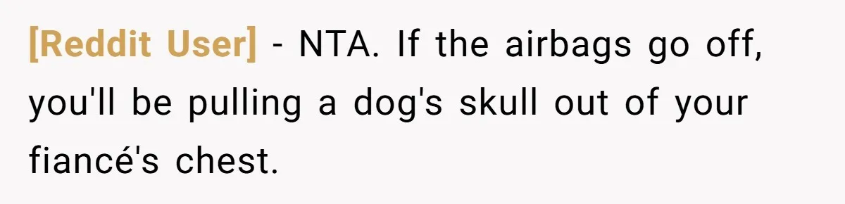 [Reddit User] − NTA. If the airbags go off, you'll be pulling a dog's skull out of your fiancé's chest.