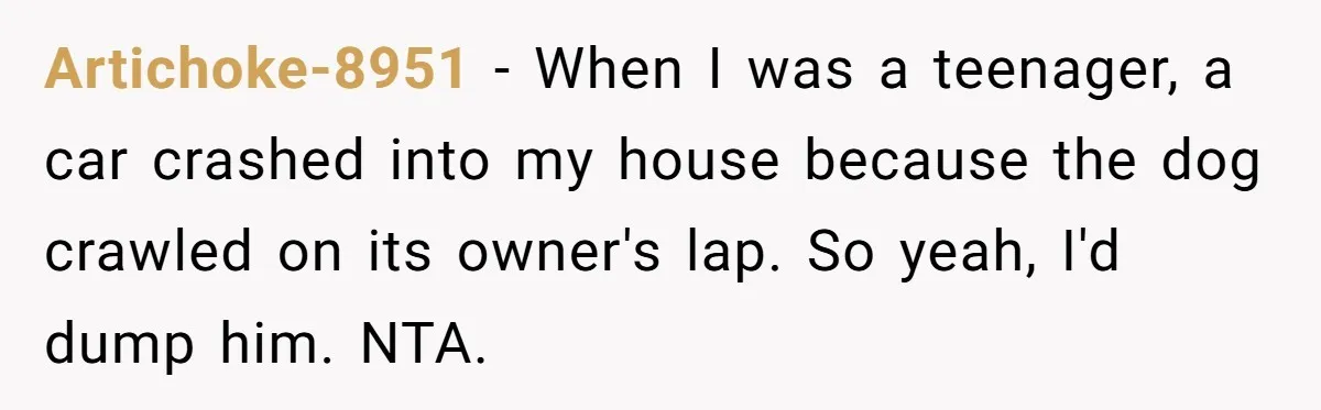 Artichoke-8951 − When I was a teenager, a car crashed into my house because the dog crawled on its owner's lap. So yeah, I'd dump him. NTA.