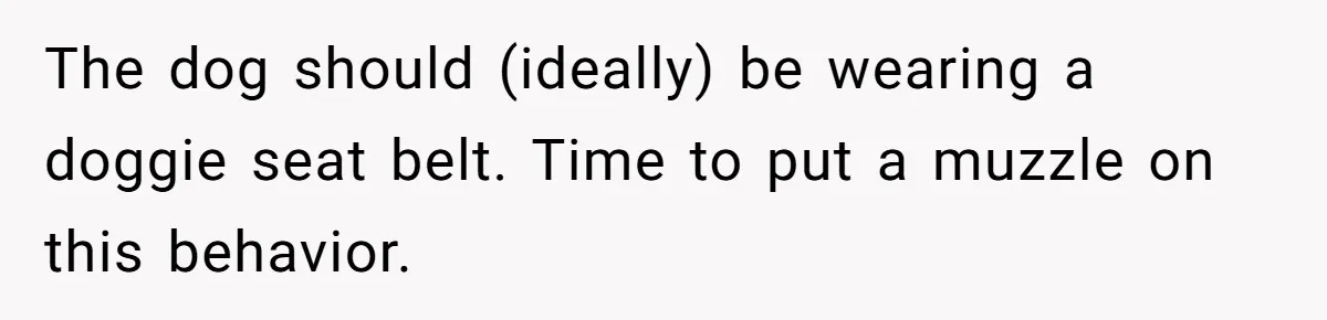 The dog should (ideally) be wearing a doggie seat belt. Time to put a muzzle on this behavior.