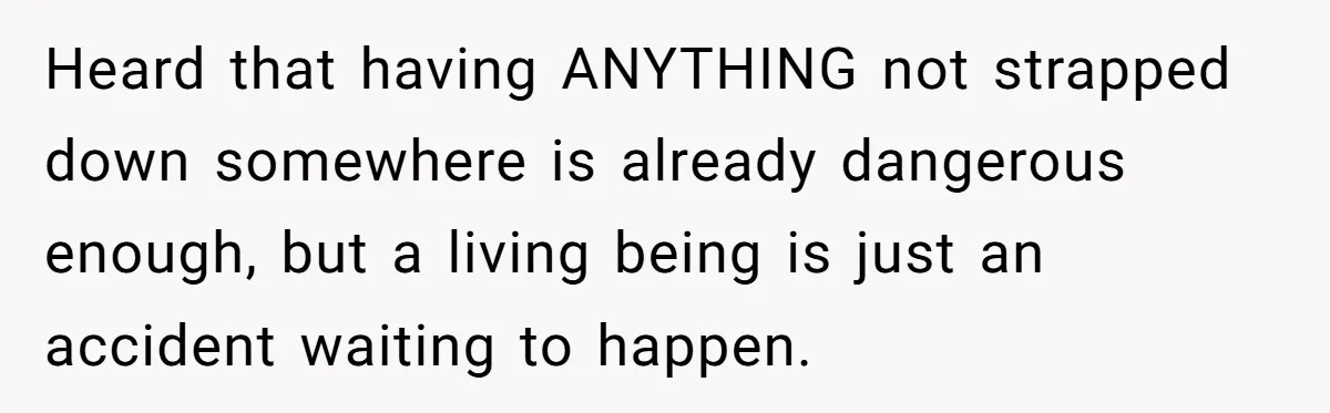 Heard that having ANYTHING not strapped down somewhere is already dangerous enough, but a living being is just an accident waiting to happen.