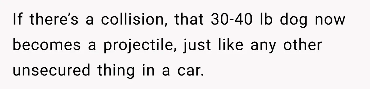 If there’s a collision, that 30-40 lb dog now becomes a projectile, just like any other unsecured thing in a car.