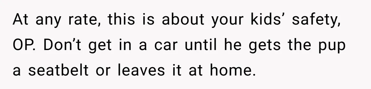 At any rate, this is about your kids’ safety, OP. Don’t get in a car until he gets the pup a seatbelt or leaves it at home.
