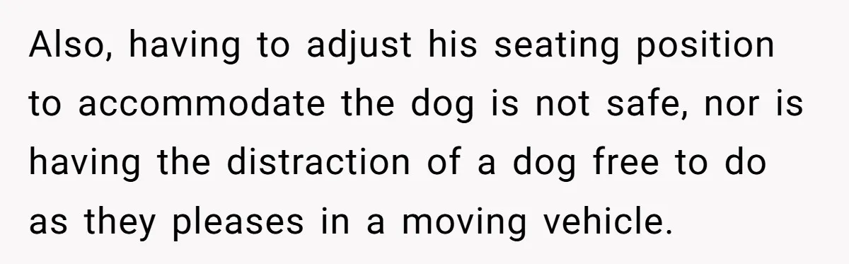 Also, having to adjust his seating position to accommodate the dog is not safe, nor is having the distraction of a dog free to do as they pleases in a...