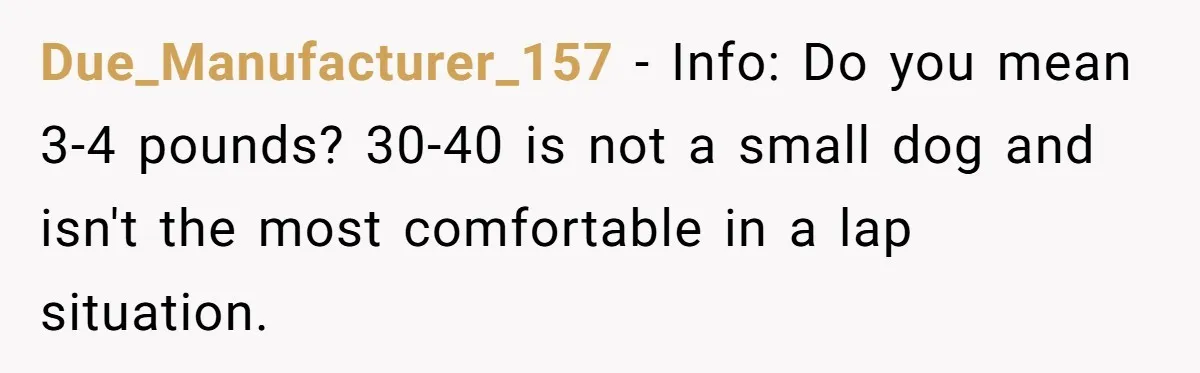 Due_Manufacturer_157 − Info: Do you mean 3-4 pounds? 30-40 is not a small dog and isn't the most comfortable in a lap situation.