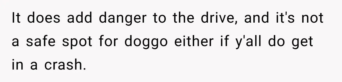 It does add danger to the drive, and it's not a safe spot for doggo either if y'all do get in a crash.