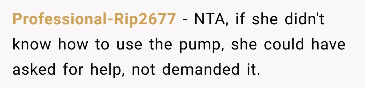 Professional-Rip2677 − NTA, if she didn't know how to use the pump, she could have asked for help, not demanded it.
