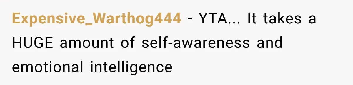 A Surprise Six-Year-Old Son Leads to a Heartbreaking Divorce for a Once-Happy Couple Expensive_Warthog444 − YTA... It takes a HUGE amount of self-awareness and emotional intelligence