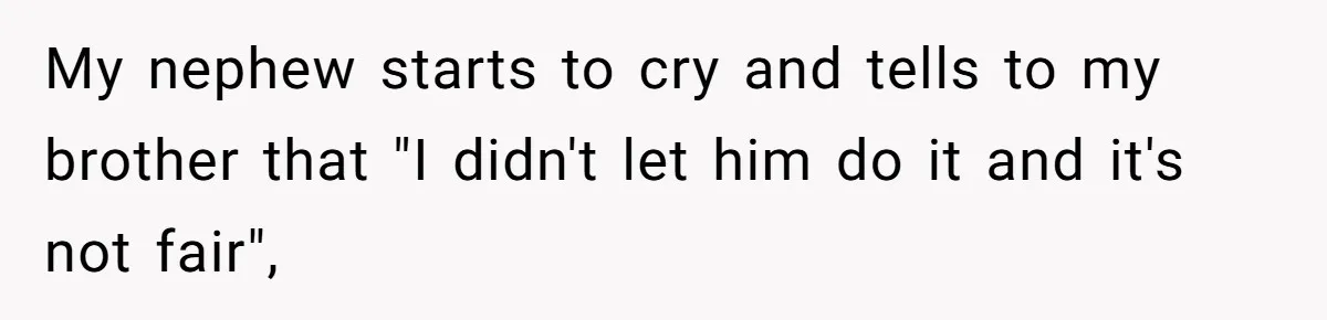 My nephew starts to cry and tells to my brother that "I didn't let him do it and it's not fair",
