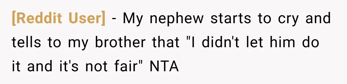 [Reddit User] − My nephew starts to cry and tells to my brother that "I didn't let him do it and it's not fair" NTA