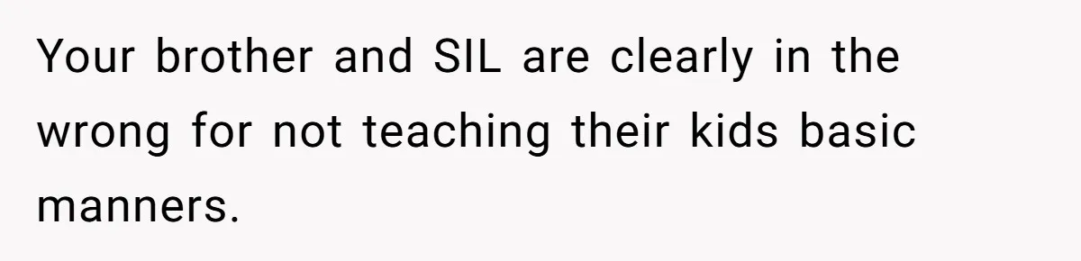 Your brother and SIL are clearly in the wrong for not teaching their kids basic manners.