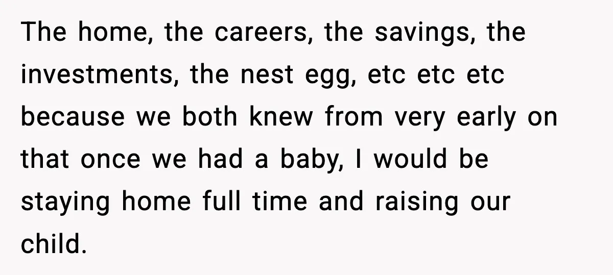 The home, the careers, the savings, the investments, the nest egg, etc etc etc because we both knew from very early on that once we had a baby, I would...