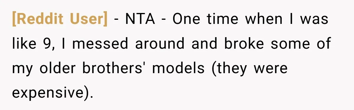 [Reddit User] - NTA - One time when I was like 9, I messed around and broke some of my older brothers' models (they were expensive).