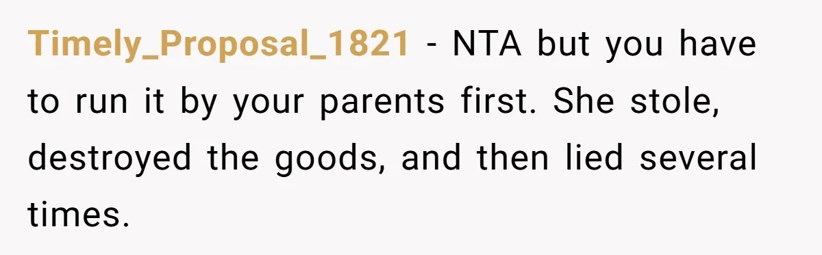 Timely_Proposal_1821 - NTA but you have to run it by your parents first. She stole, destroyed the goods, and then lied several times.