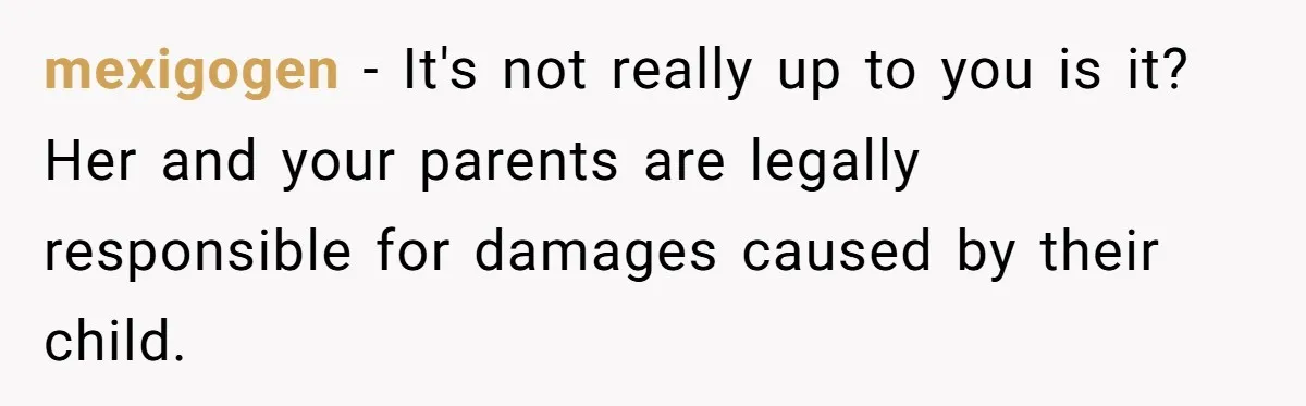 mexigogen - It's not really up to you is it? Her and your parents are legally responsible for damages caused by their child.