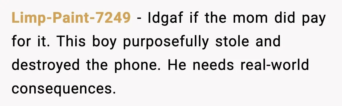 Limp-Paint-7249 - Idgaf if the mom did pay for it. This boy purposefully stole and destroyed the phone. He needs real-world consequences.