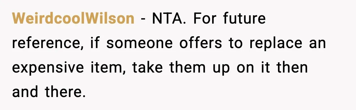 WeirdcoolWilson - NTA. For future reference, if someone offers to replace an expensive item, take them up on it then and there.