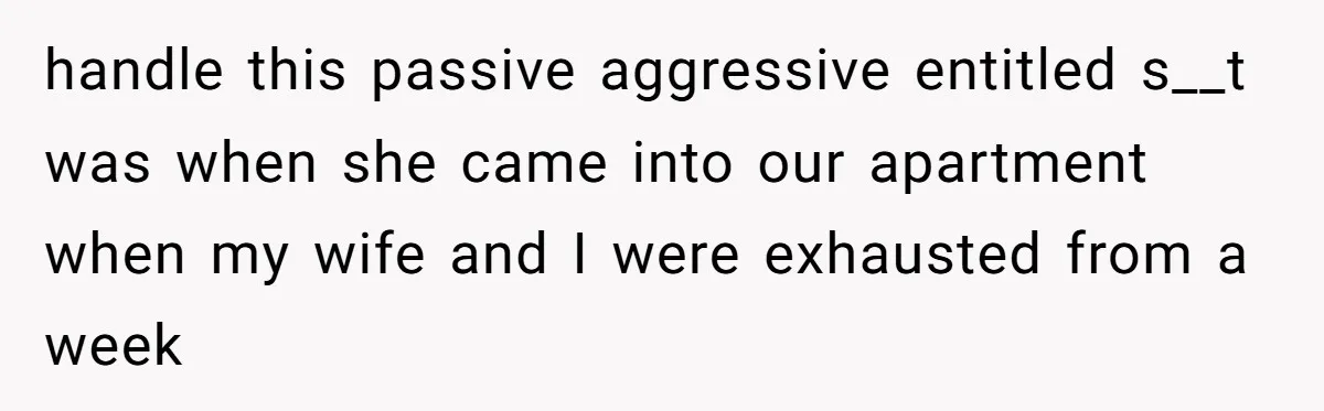 handle this passive aggressive entitled s__t was when she came into our apartment when my wife and I were exhausted from a week