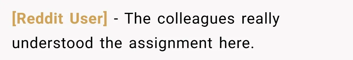 [Reddit User] − The colleagues really understood the assignment here.