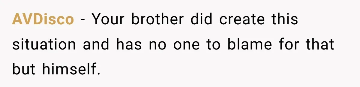 AVDisco − Your brother did create this situation and has no one to blame for that but himself.