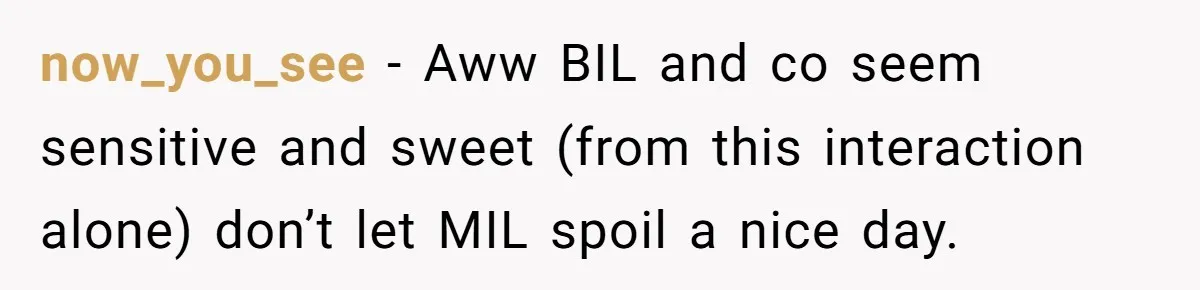 Woman in a Wheelchair Exposes Her MIL’s Secret Strategy to “Prove” She Can Walk now_you_see − Aww BIL and co seem sensitive and sweet (from this interaction alone) don’t let MIL spoil a nice day.