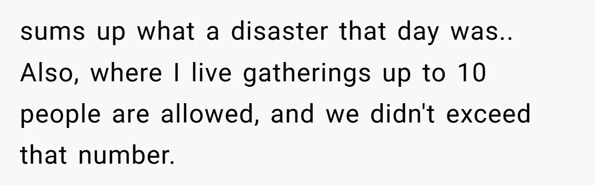 Woman in a Wheelchair Exposes Her MIL’s Secret Strategy to “Prove” She Can Walk sums up what a disaster that day was.. Also, where I live gatherings up to 10 people are allowed, and we didn't exceed that number.