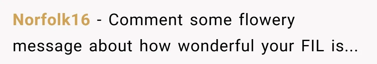 Norfolk16 − Comment some flowery message about how wonderful your FIL is...