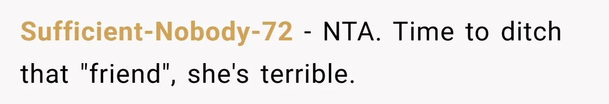 Sufficient-Nobody-72 − NTA. Time to ditch that "friend", she's terrible.