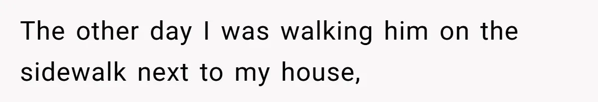 The other day I was walking him on the sidewalk next to my house,