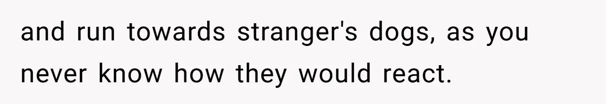and run towards stranger's dogs, as you never know how they would react.