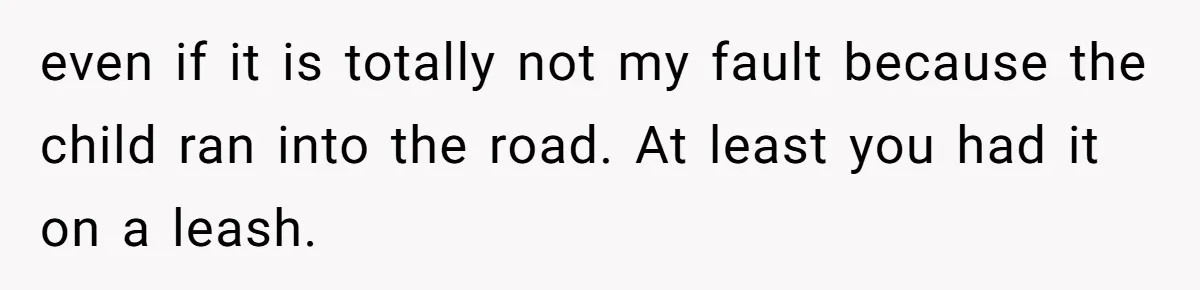 even if it is totally not my fault because the child ran into the road. At least you had it on a leash.