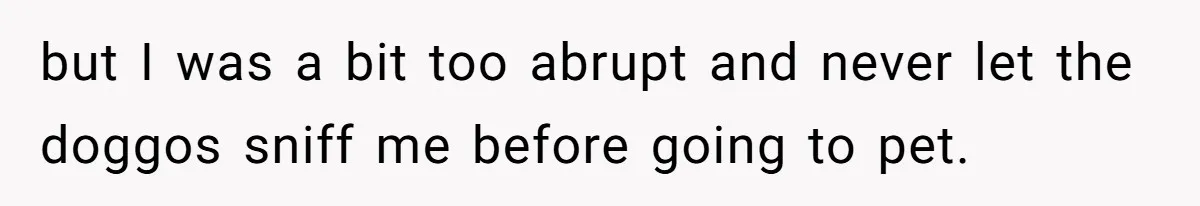 but I was a bit too abrupt and never let the doggos sniff me before going to pet.