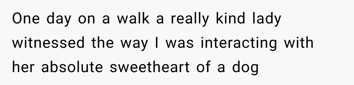 One day on a walk a really kind lady witnessed the way I was interacting with her absolute sweetheart of a dog