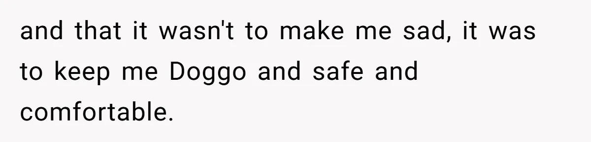and that it wasn't to make me sad, it was to keep me Doggo and safe and comfortable.