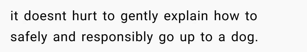 it doesnt hurt to gently explain how to safely and responsibly go up to a dog.
