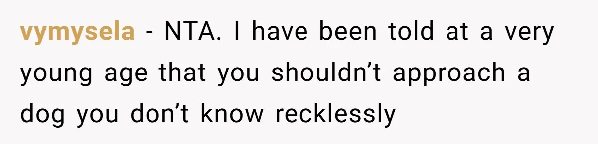 vymysela − NTA. I have been told at a very young age that you shouldn’t approach a dog you don’t know recklessly