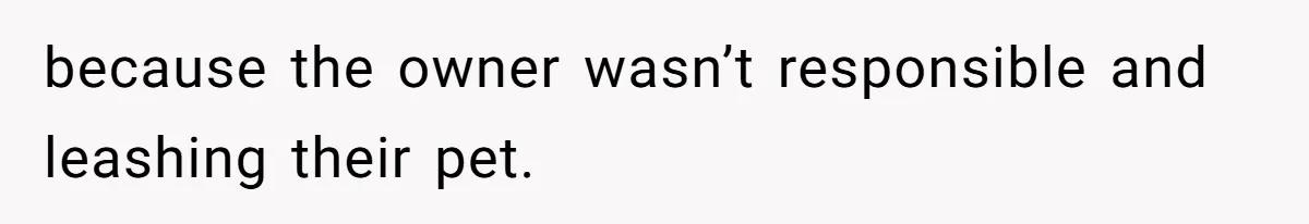 because the owner wasn’t responsible and leashing their pet.