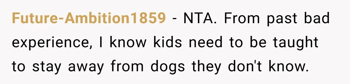 Future-Ambition1859 − NTA. From past bad experience, I know kids need to be taught to stay away from dogs they don't know.