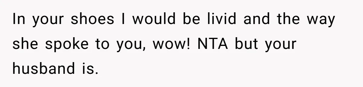In your shoes I would be livid and the way she spoke to you, wow! NTA but your husband is.