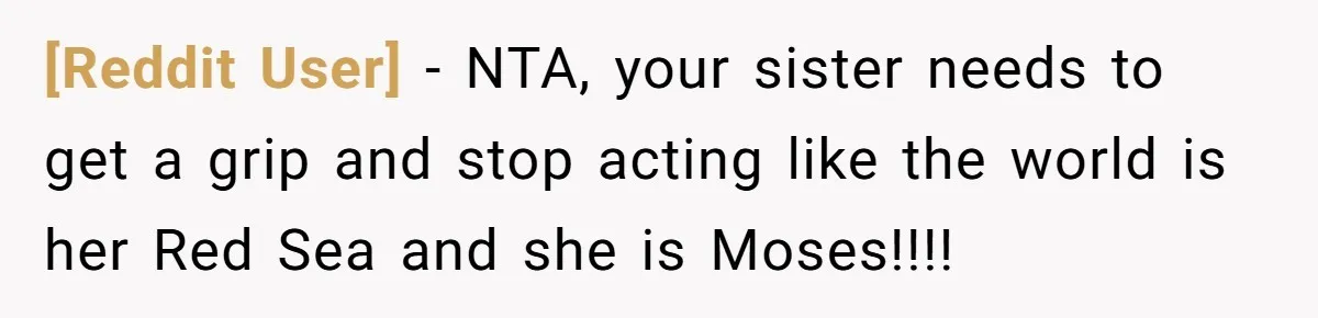 [Reddit User] − NTA, your sister needs to get a grip and stop acting like the world is her Red Sea and she is Moses!!!!