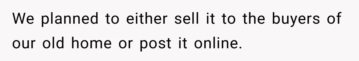 Man Throws His Wife Under The Bus To His Family, Gets Angry When She Finds Out We planned to either sell it to the buyers of our old home or post it online.