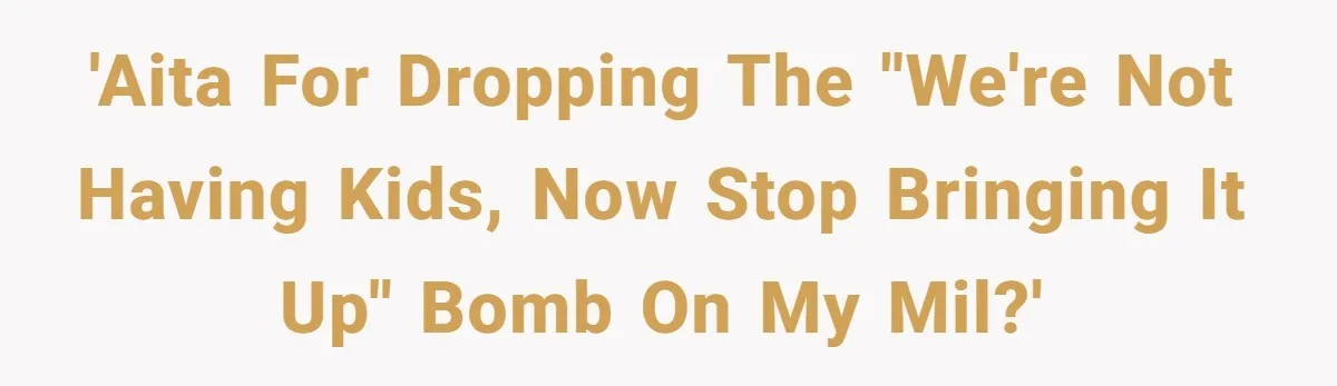 'AITA for dropping the "We're Not Having Kids, Now Stop Bringing It Up" bomb on my MIL?'