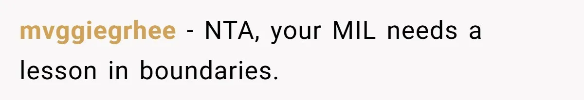 mvggiegrhee − NTA, your MIL needs a lesson in boundaries.