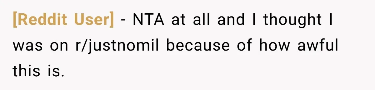 [Reddit User] − NTA at all and I thought I was on r/justnomil because of how awful this is.